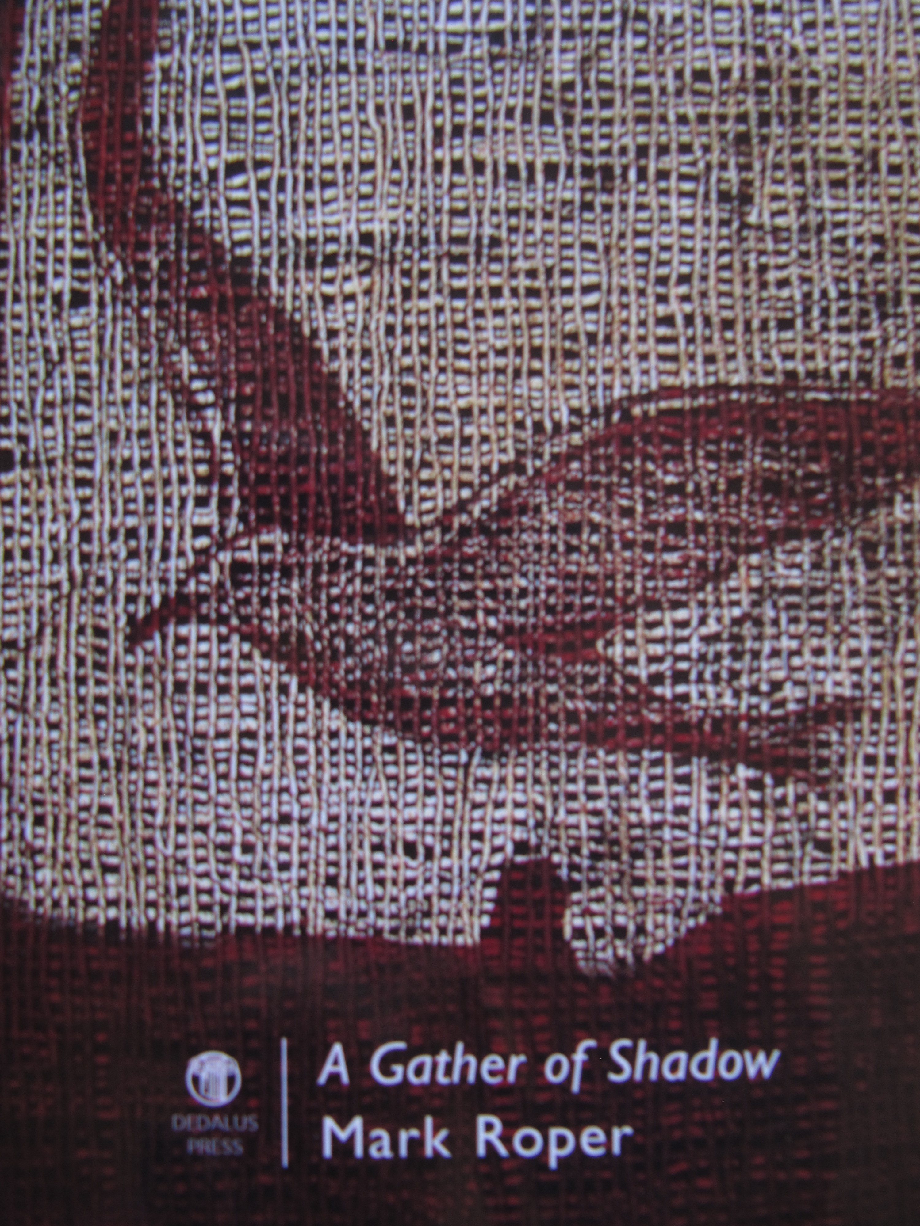 Cover A Gather of Shadow.JPG