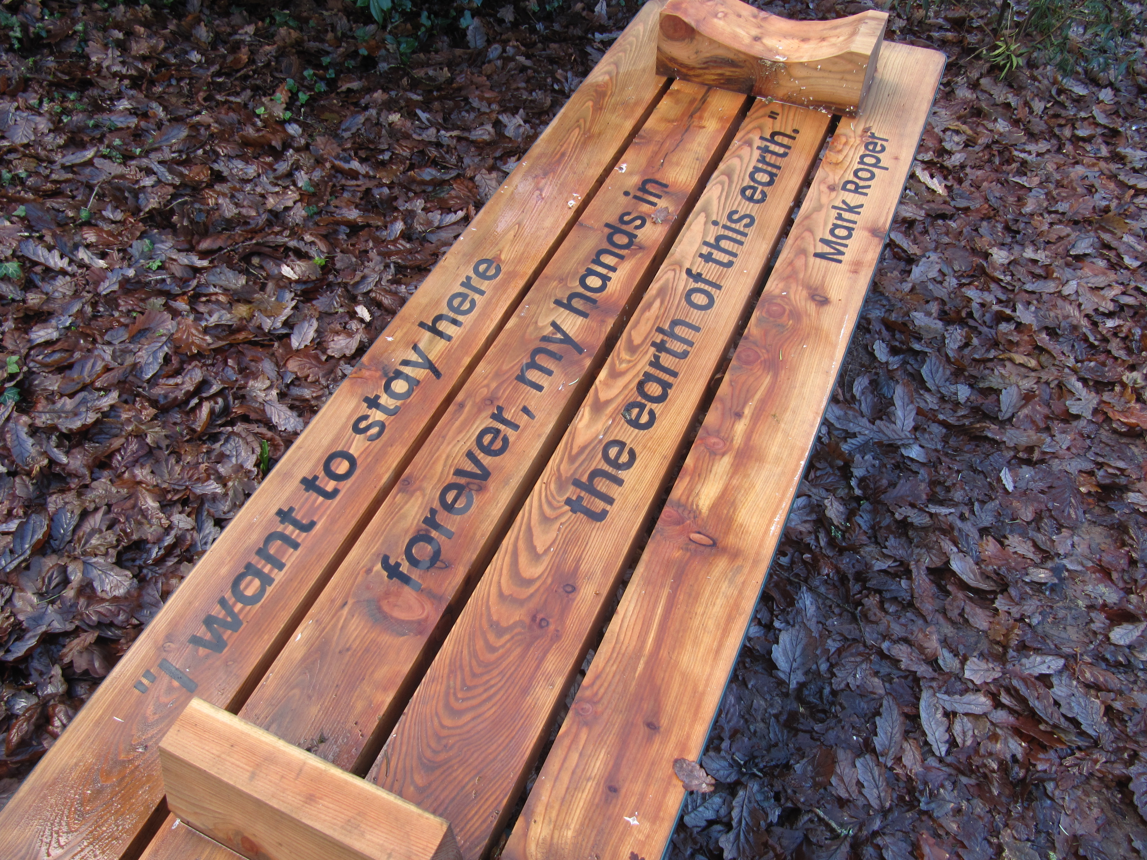 Mount Congreve Bench.jpg