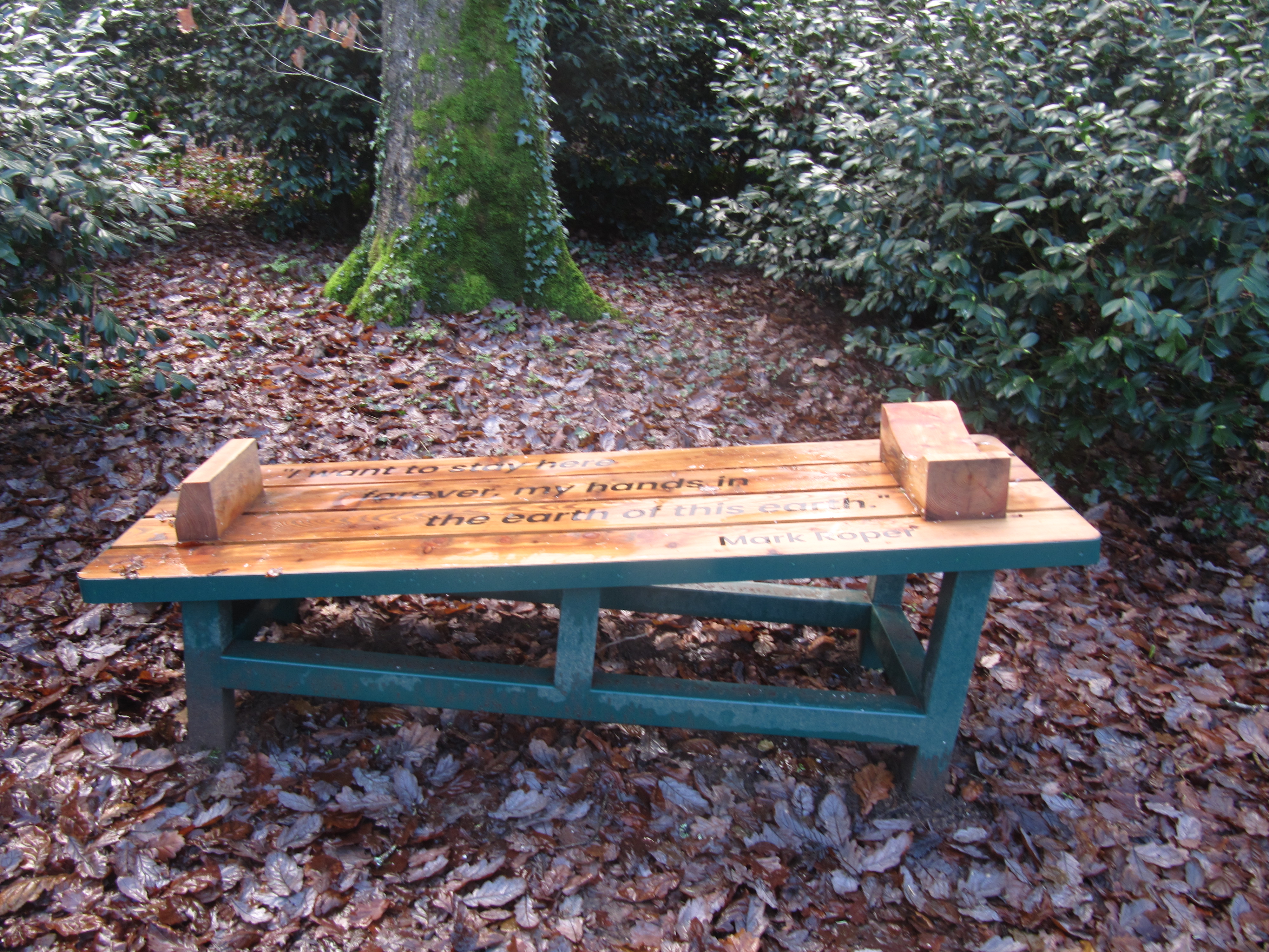 Mount Congreve Bench (2).jpg